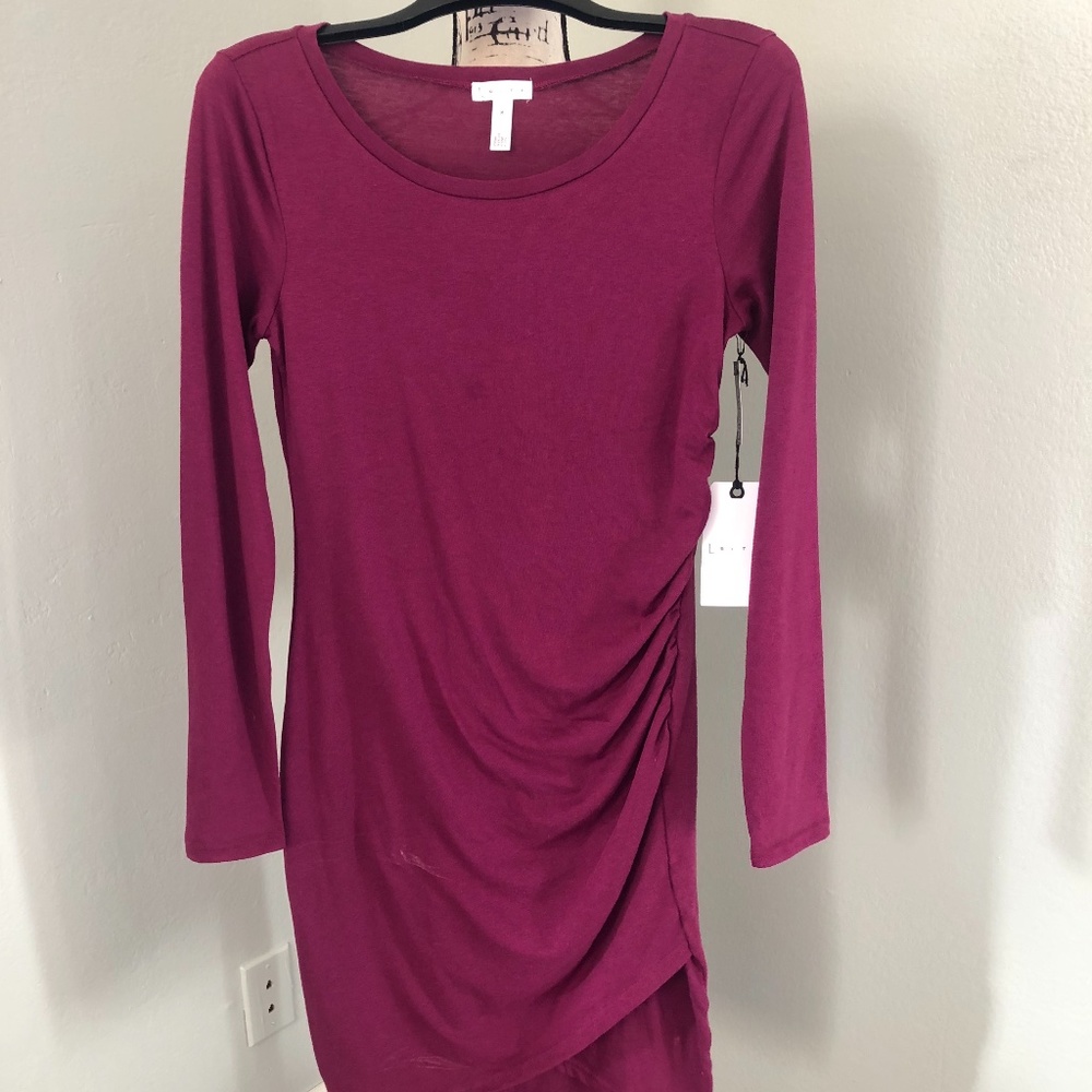 Leith Long-Sleeved Dress (NWT)